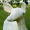 Deer 07